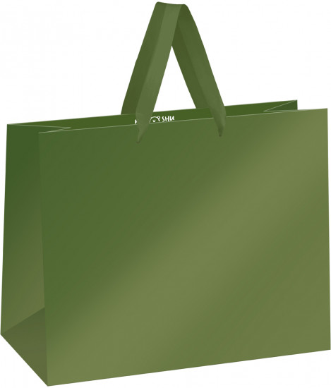 Пакет подарочный «Green»