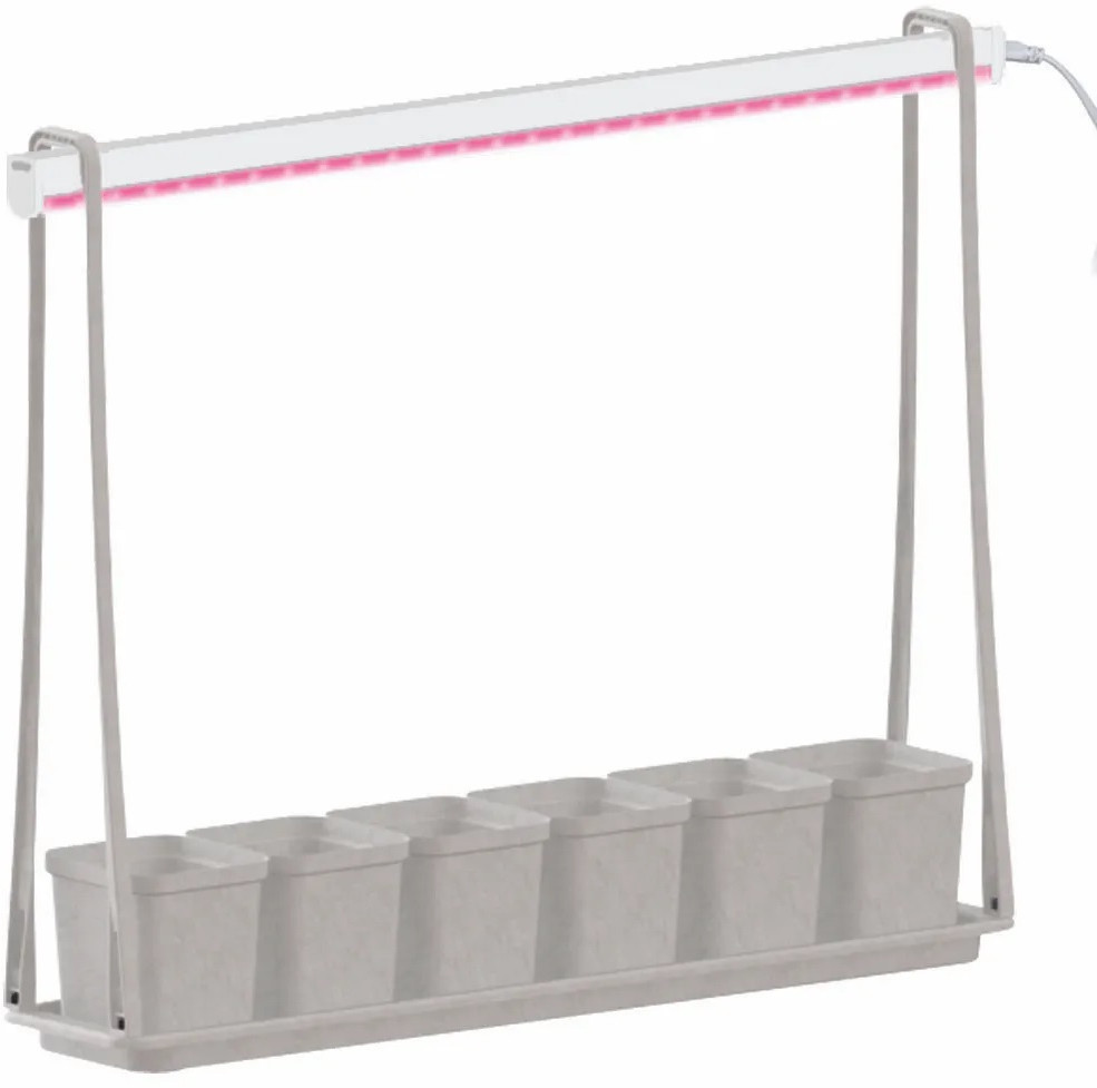 Набор для выращивания растений «Минисад» | ФитоЛето | Uniel