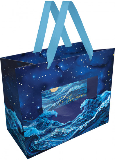 Пакет подарочный «Moon sky»
