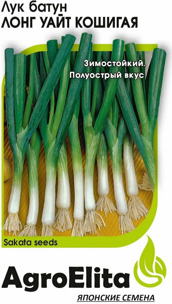 Семена лука батуна «Лонг Уайт Кошигая» | AgroElita