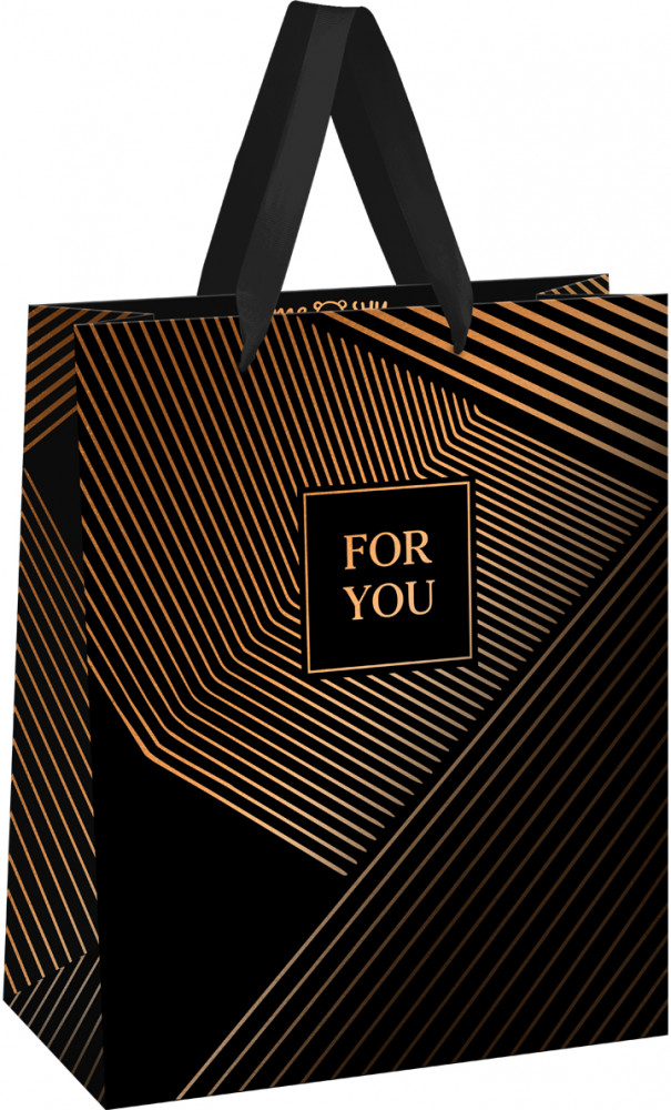 Пакет подарочный «Strict lines» | Meshu