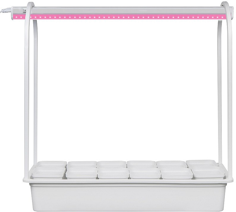 Набор для выращивания растений «Минисад» | ФитоЛето | Uniel