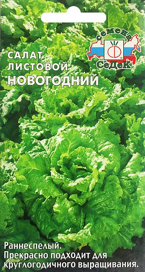 Семена салата «Новогодний листовой» | СеДеК