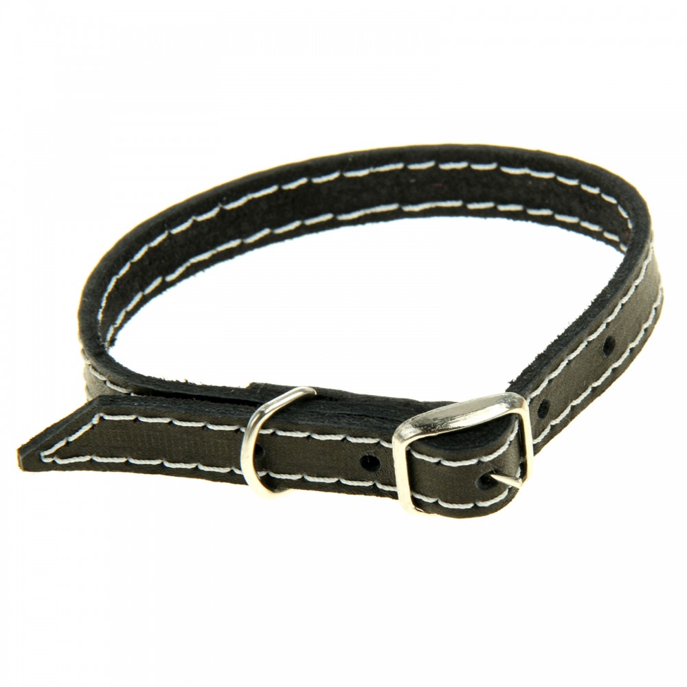 Ошейник 1-слойный из кожи, 1,2 х 34 см, черный