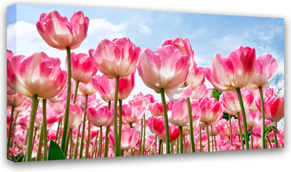 Печатная картина на деревянном подрамнике «Весенние тюльпаны» | Симфония