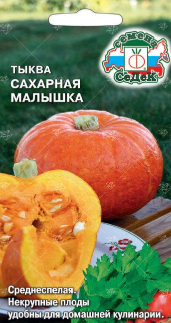 Семена тыквы «Сахарная малышка» | СеДеК