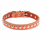 Ошейник с подкладом (ширина 1,7 см) клепаный, цвета в ассортименте