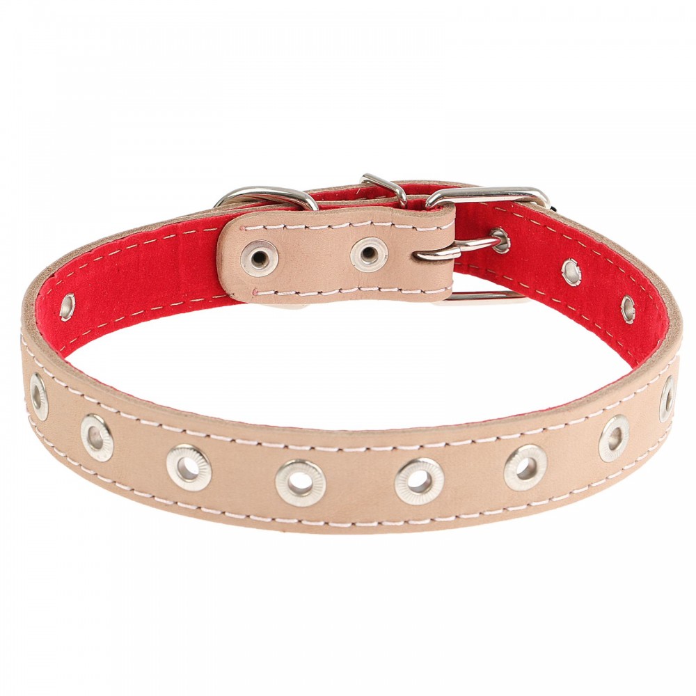 Ошейник с подкладом (ширина 2,5 см) безразмерный, цвета в ассортименте