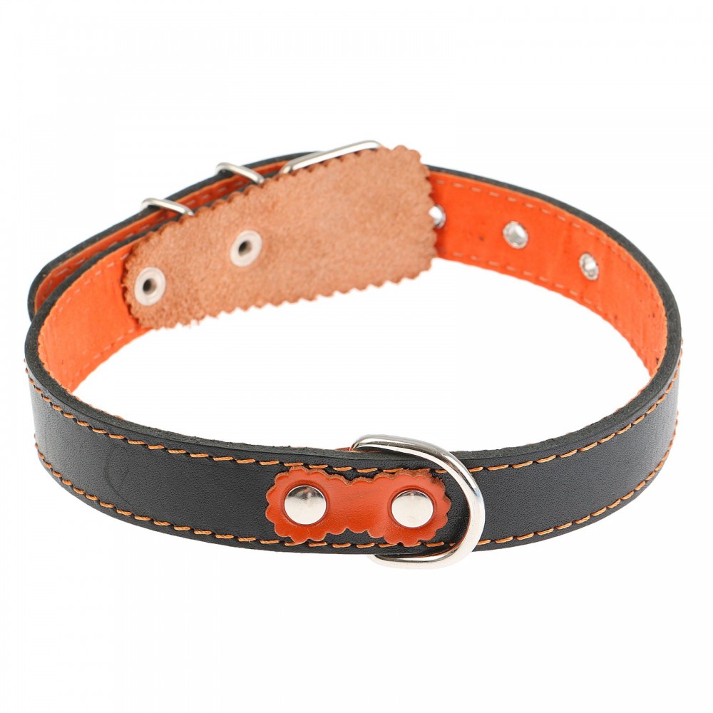 Ошейник с подкладом (ширина 2,5 см) с выносным кольцом, цвета в ассортименте