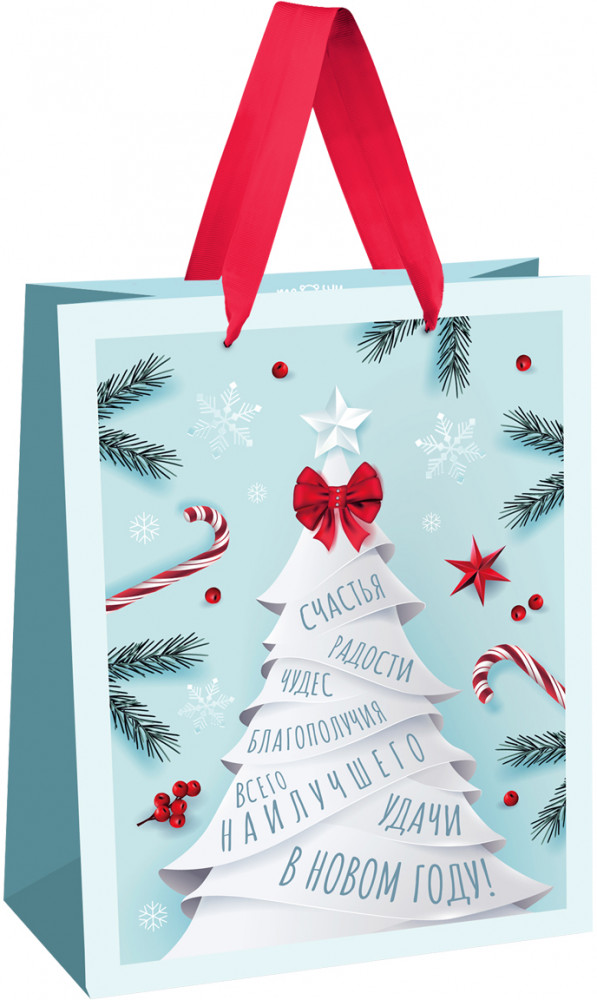 Пакет подарочный «Christmas wish» | Meshu