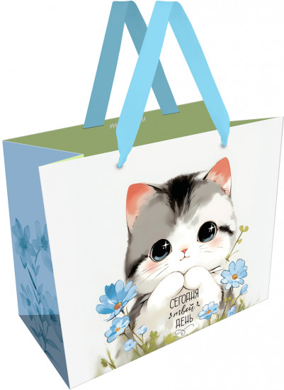 Пакет подарочный «Cute kitten»