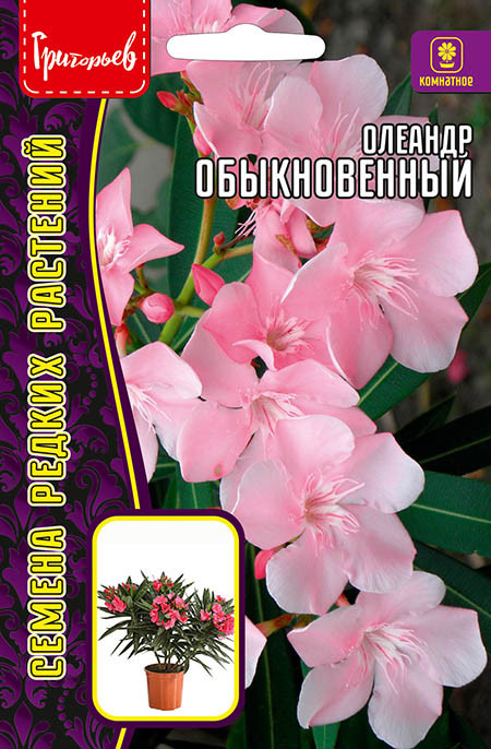 Семена олеандра «Обыкновенный» | Григорьев
