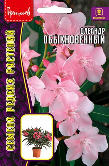 Семена олеандра «Обыкновенный»