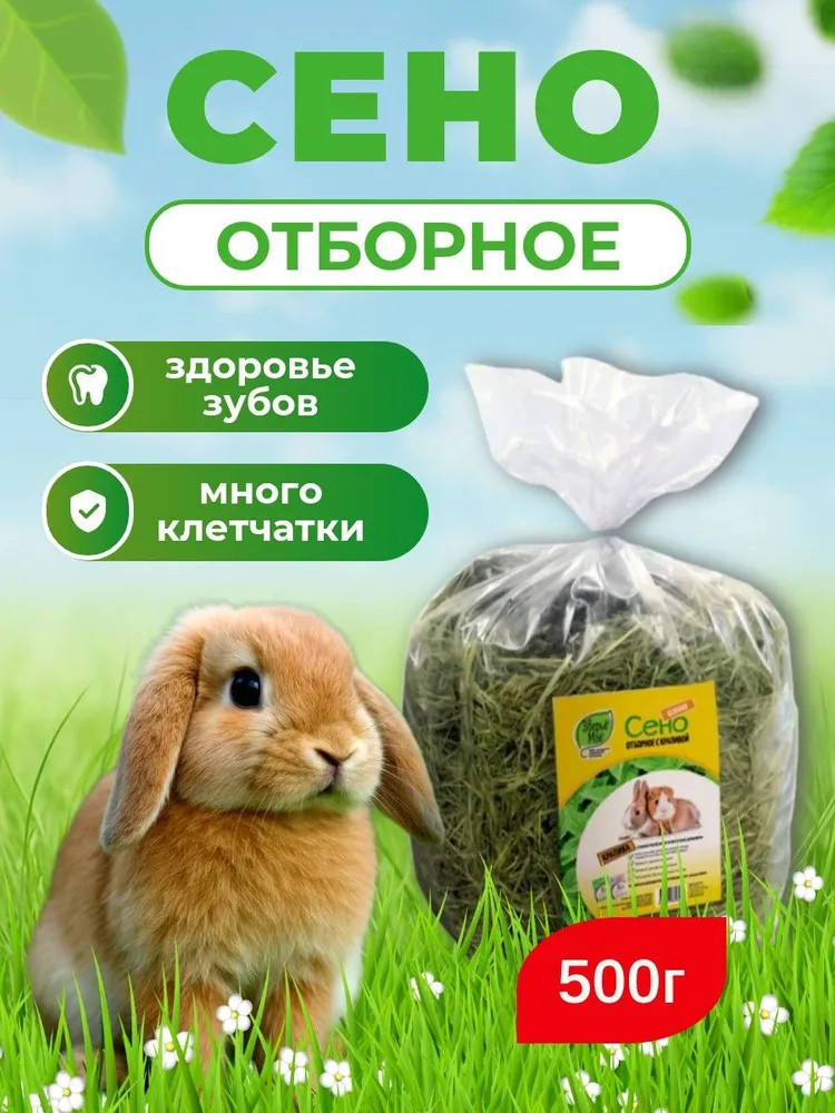 Сено для грызунов луговое отборное с крапивой | Зверье мое