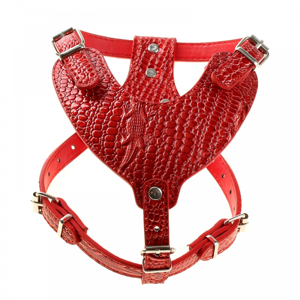 Шлейка «Анаконда» (обхват шеи 28-40 см, обхват груди 44-63 см), красная | Пижон
