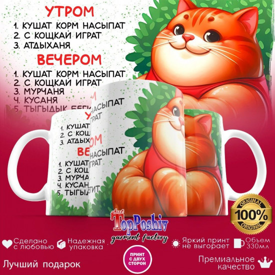 Кружка с принтом «Тренировка с котом»