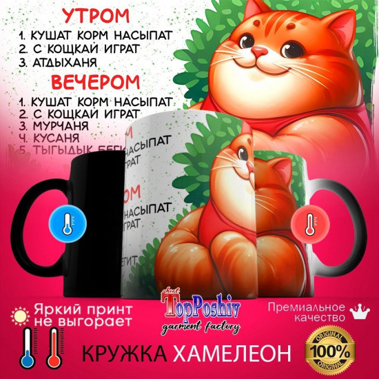 Кружка хамелеон с принтом «Тренировка с котом»