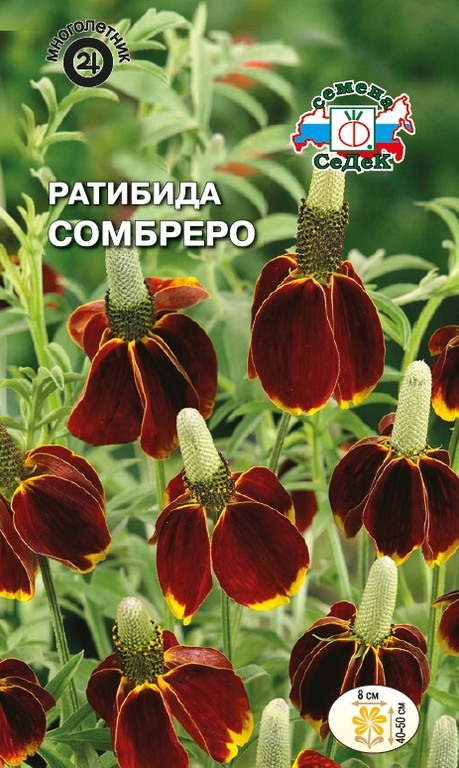 Семена ратибиды «Сомбреро» | СеДеК