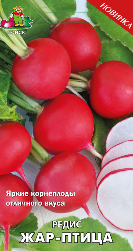 Семена редиса «Жар-птица» | Поиск