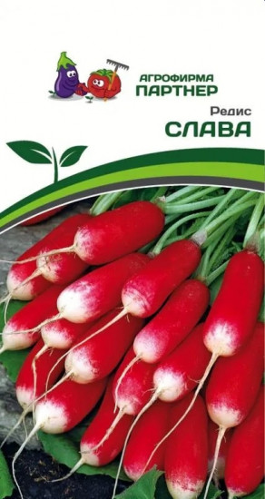 Семена редиса «Слава»
