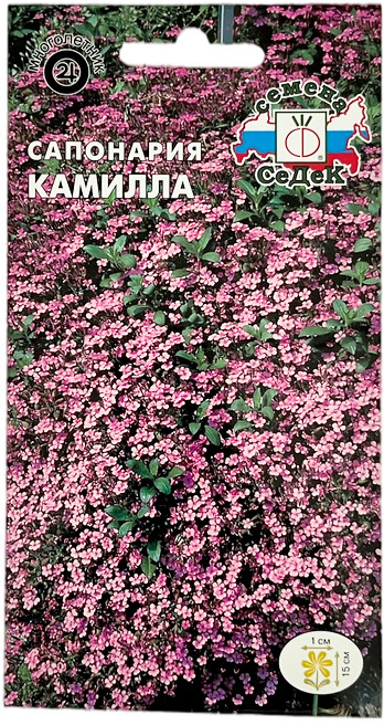 Семена сапонарии «Камилла» | СеДеК