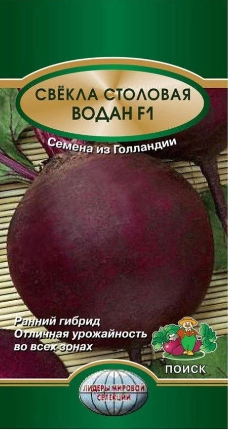Семена свеклы «Водан F1» | Поиск