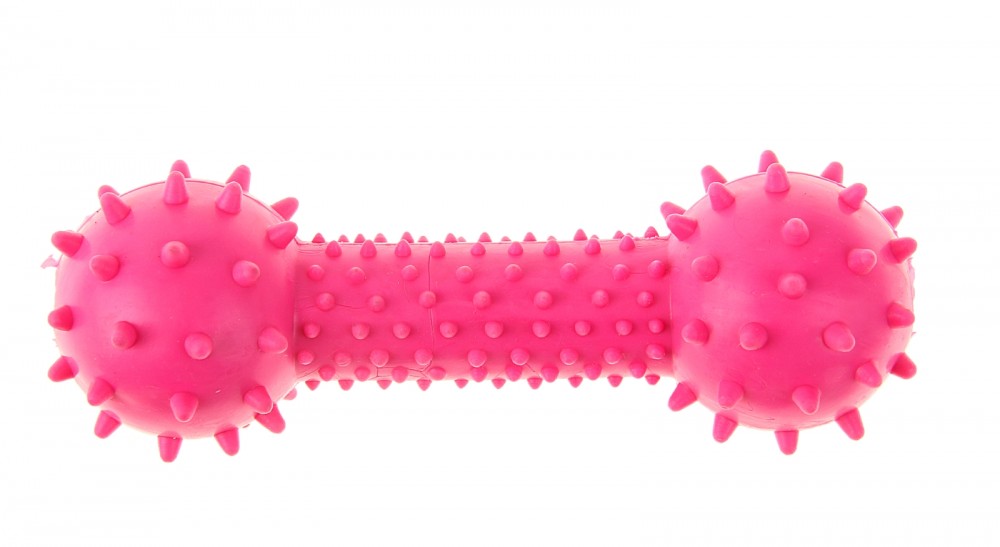 Игрушка жевательная для собаки «Грозная гантель», цвет в ассортименте | Пижон