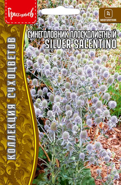 Семена синеголовника плосколистного «Silver Salentino» | Григорьев