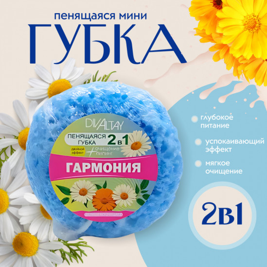 Мини-губка 2 в 1 «Гармония»