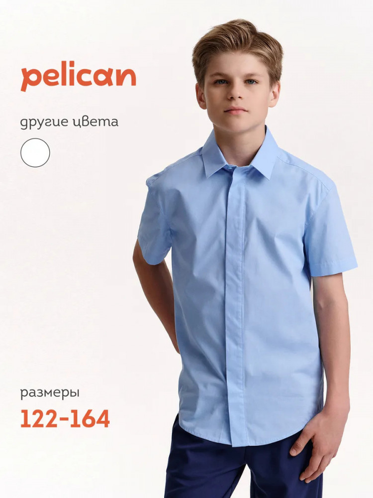 Рубашка для мальчиков | Pelican