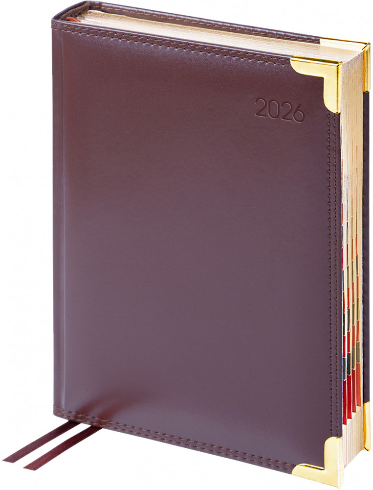 Ежедневник датированный на 2026 год | Delucci