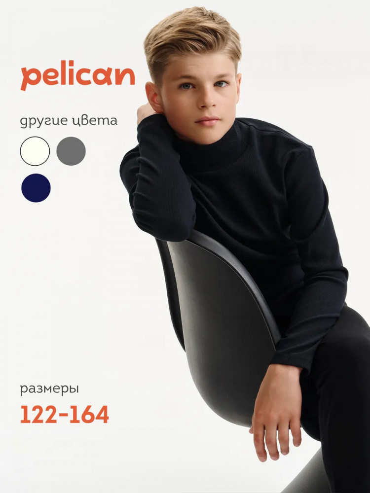 Водолазка для мальчика | Pelican
