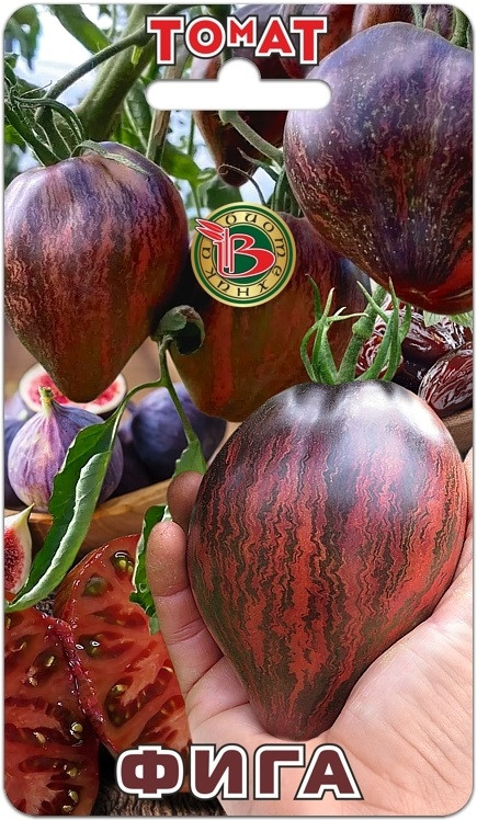 Семена томата «Фига» | Биотехника