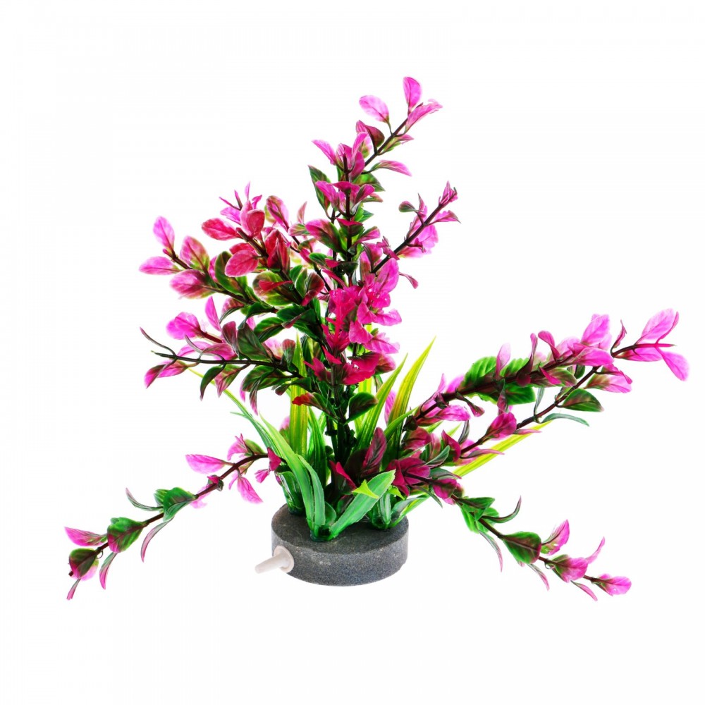 Растение с распылителем, 22 х 11 х 11 см