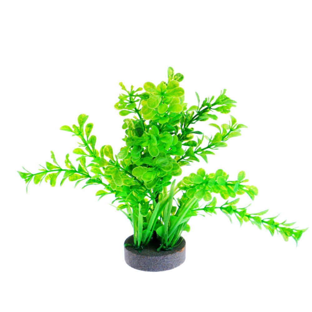 Растение с распылителем, 20 х 14 х 14 см