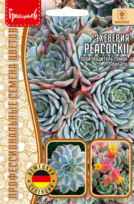 Семена эхеверии «Пекокка» | Григорьев