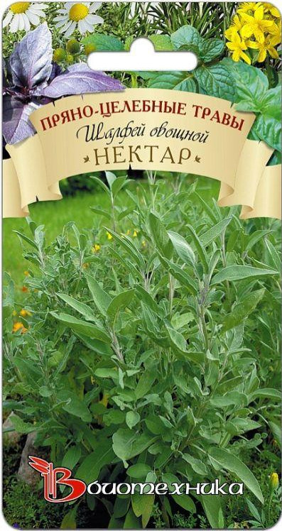 Семена шалфея овощного «Нектар» | Биотехника