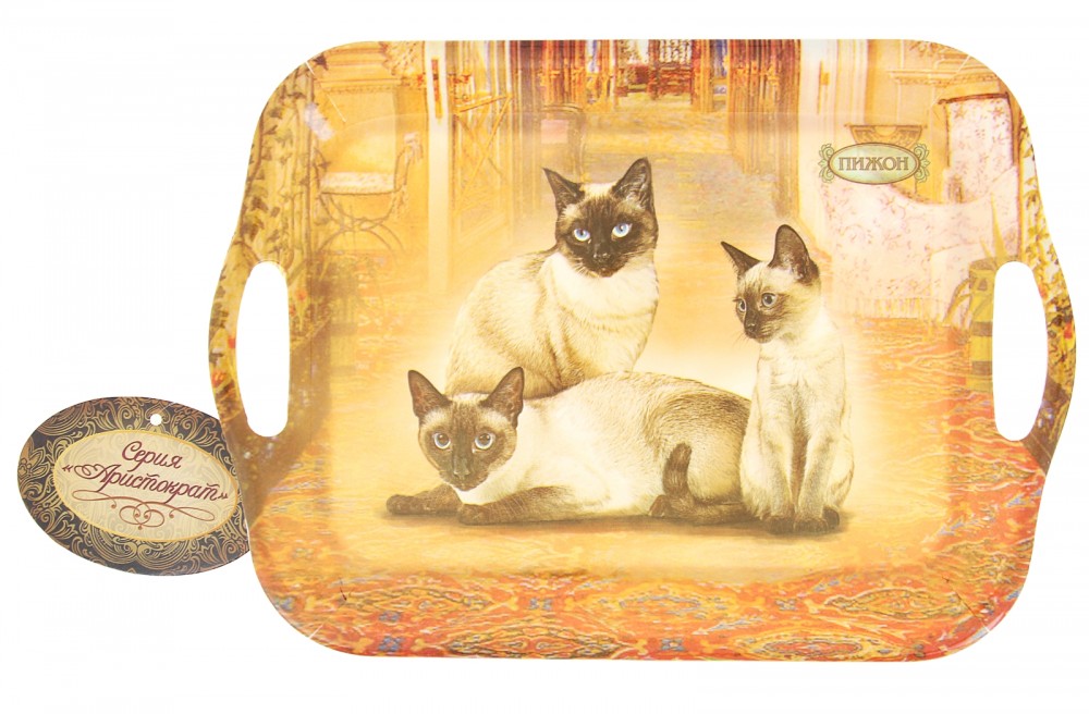 Поднос серия «Сиамская кошка» | Сиамская кошка | Пижон