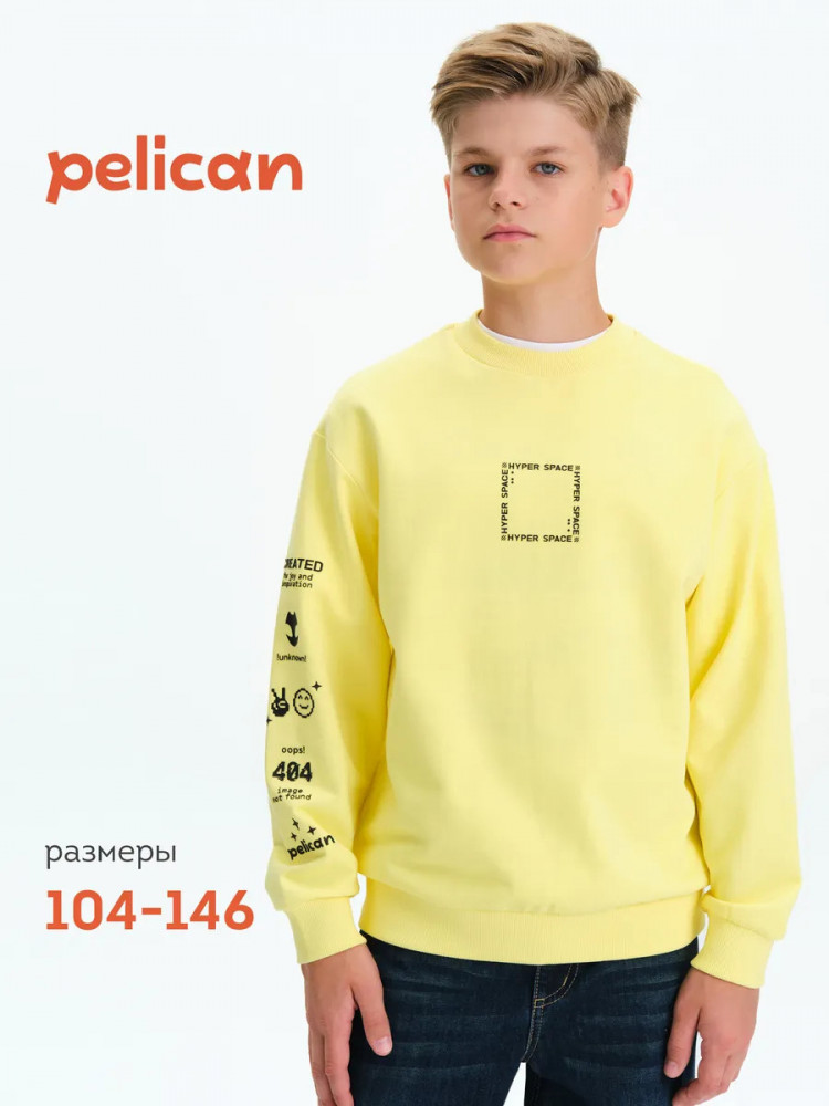 Свитшот для мальчиков | Pelican