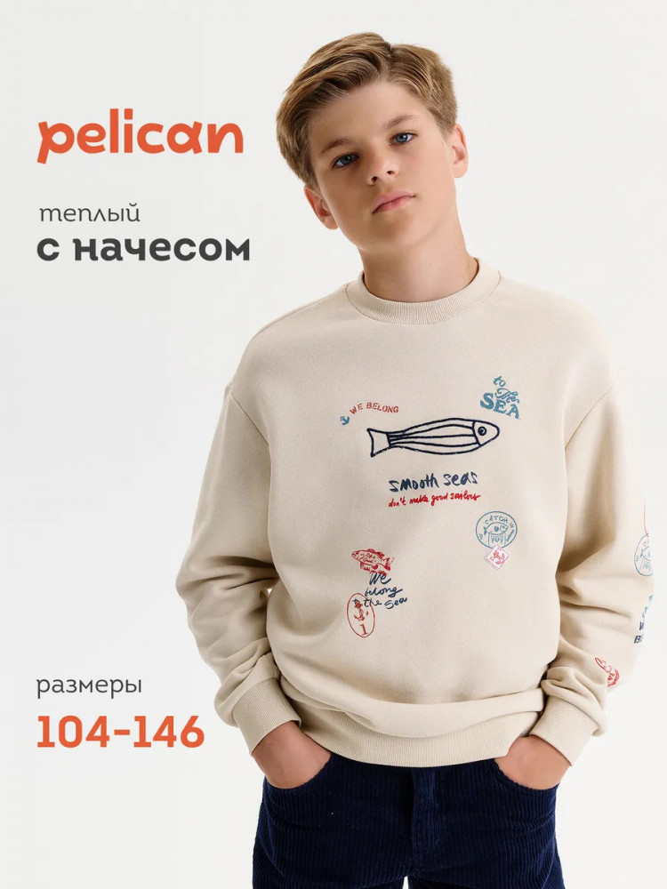 Свитшот для мальчиков | Pelican