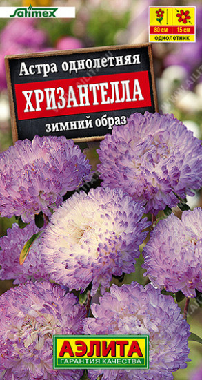 Семена астры «Хризантелла зимний образ»