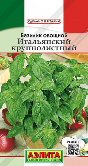 Семена базилика овощного «Итальянский крупнолистный»
