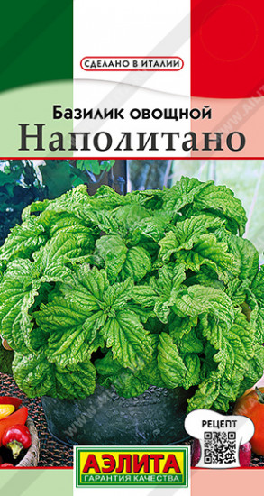 Семена базилика овощного «Наполитано»