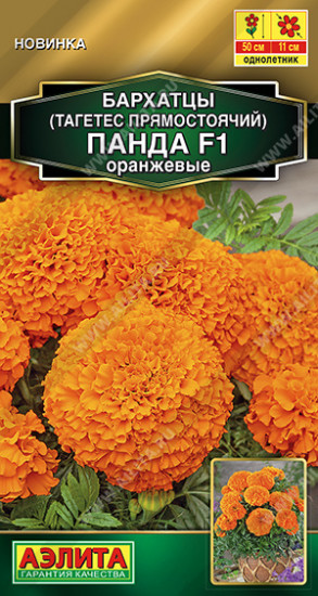 Семена бархатцев «Панда F1 оранжевые прямостоячие»