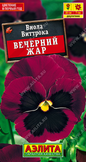 Семена виолы «Вечерний жар»