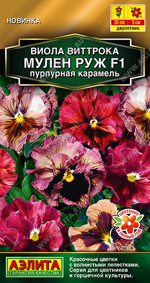 Семена виолы «Мулен Руж F1 пурпурная карамель» | Золотая серия | Аэлита
