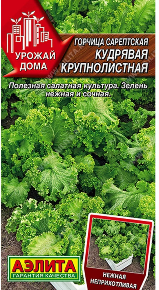 Семена горчицы сарептской «Кудрявая крупнолистная» | Урожай дома | Аэлита