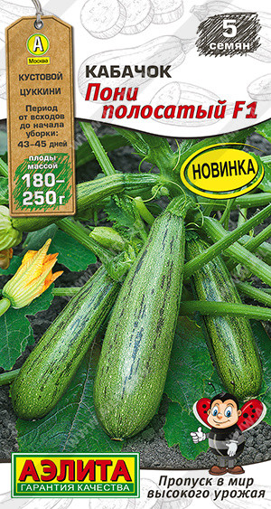 Семена кабачков цуккини «Пони полосатый F1» | Мир высокого урожая | Аэлита