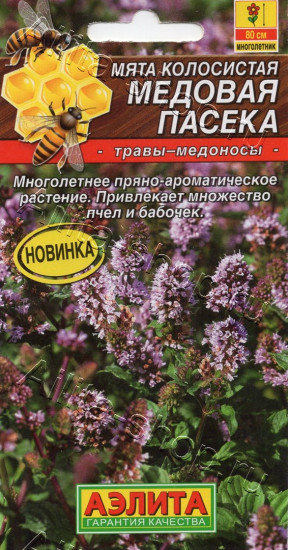 Семена мяты колосистой «Медовая пасека»