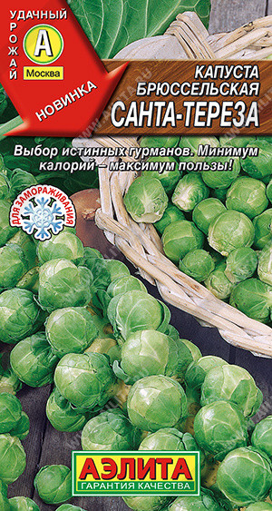 Семена капусты брюссельской «Санта-Тереза» | Удачный урожай | Аэлита